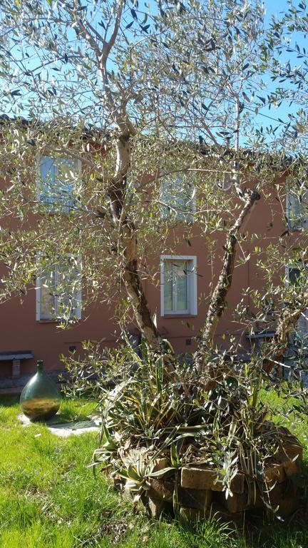 Villa Ulivo Della Querce à Querce  Extérieur photo