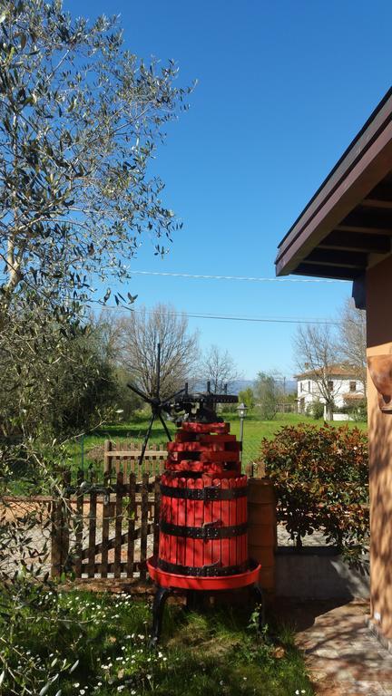 Villa Ulivo Della Querce à Querce  Extérieur photo